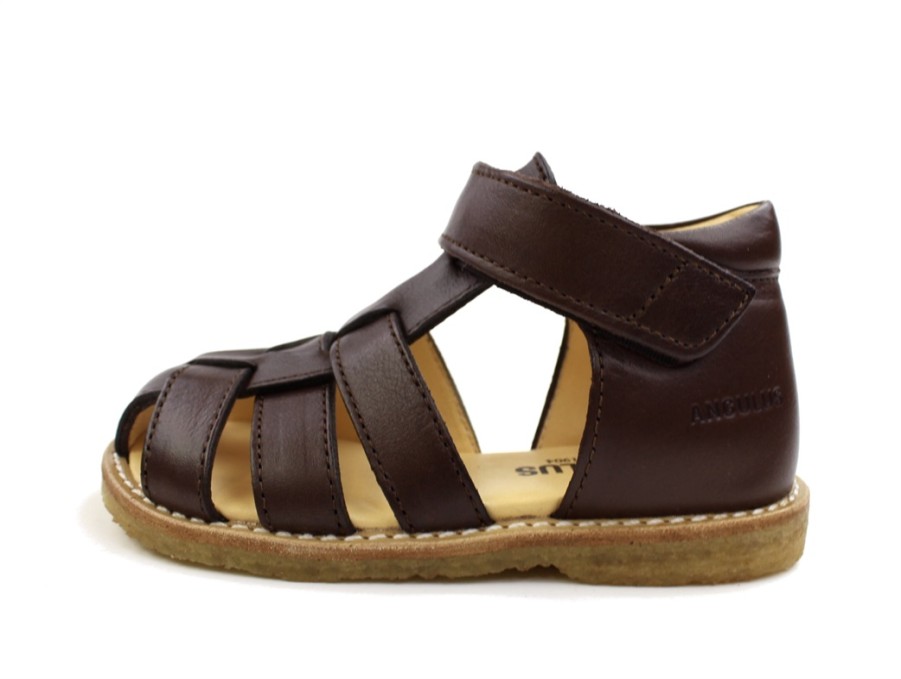 Baby Angulus Sandals | Angulus Dark Brown Sandal