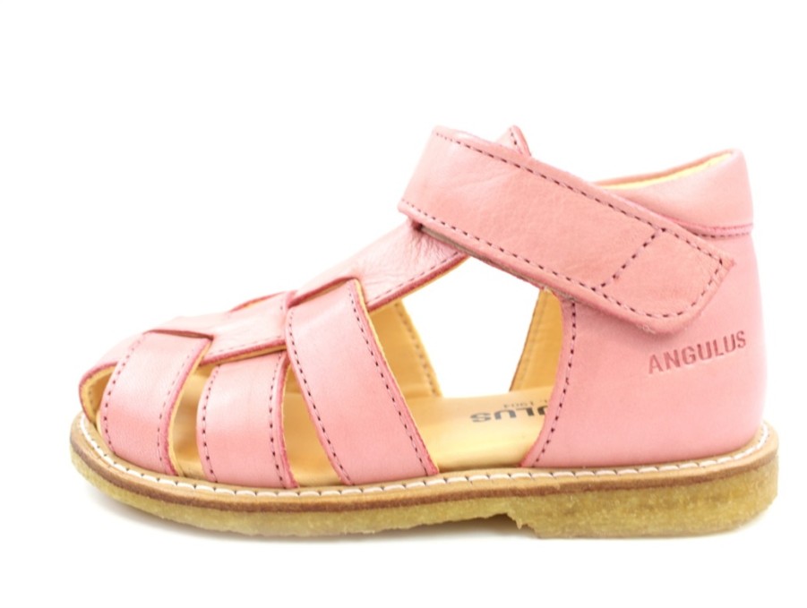 Baby Angulus Sandals | Angulus Sandal Rose