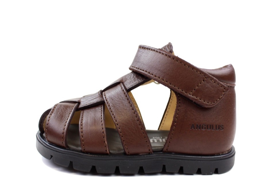 Baby Angulus Sandals | Angulus Sandal Dark Brown