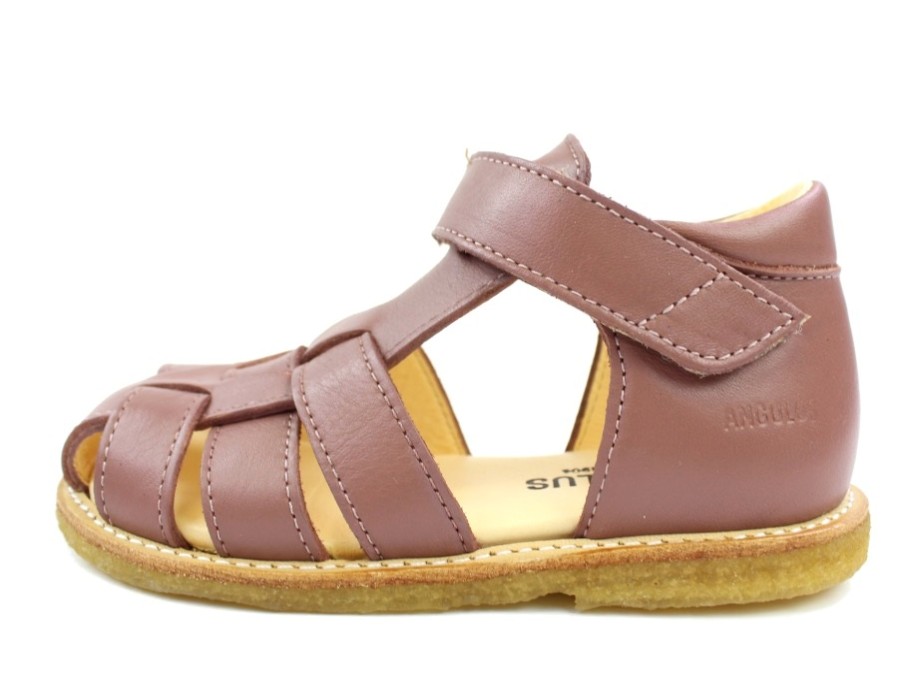 Baby Angulus Sandals | Angulus Sandal Plum